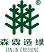 55世纪