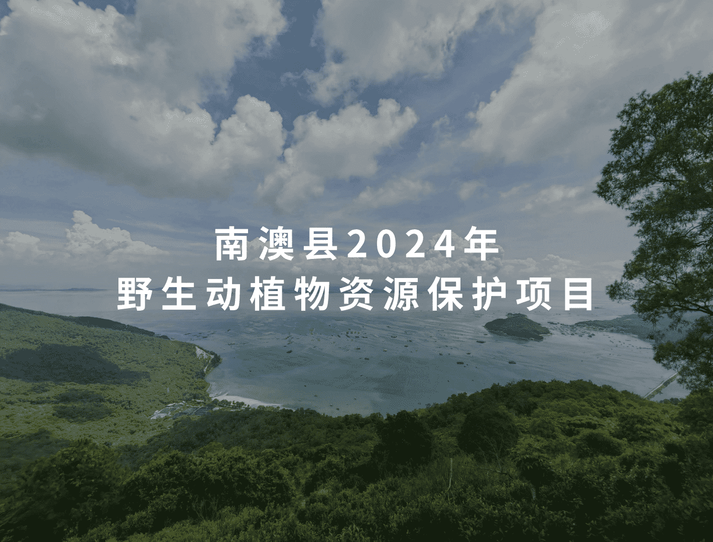 6a0d6f392ac2e