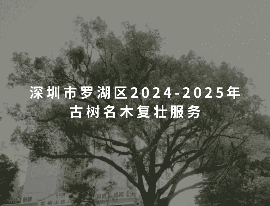 6a0d79d729cf0