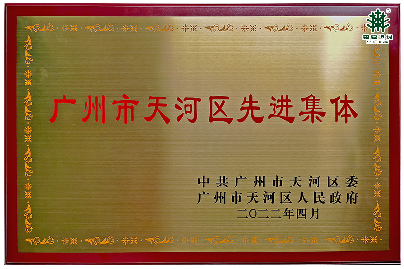 55世纪-不凡成就非凡,相信品牌力量
