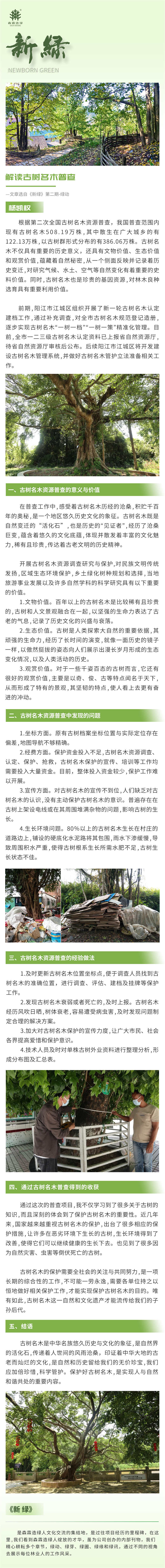 55世纪-不凡成就非凡,相信品牌力量