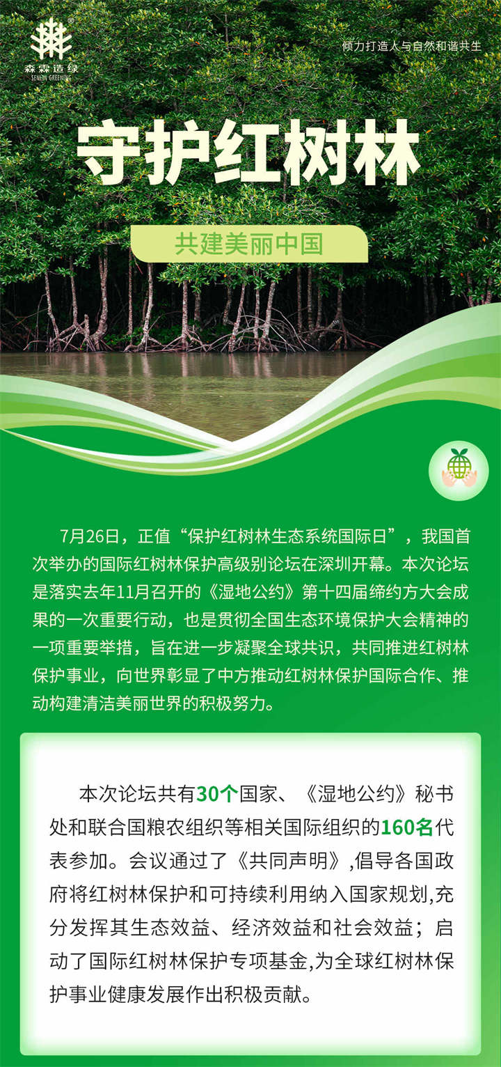 55世纪-不凡成就非凡,相信品牌力量