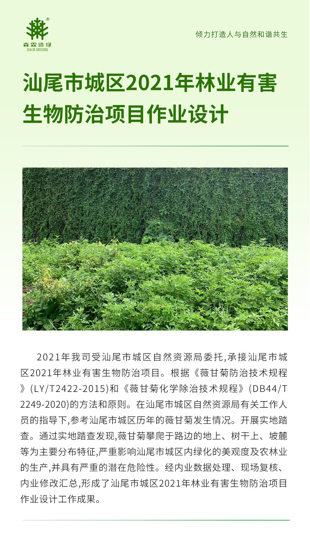 55世纪-不凡成就非凡,相信品牌力量