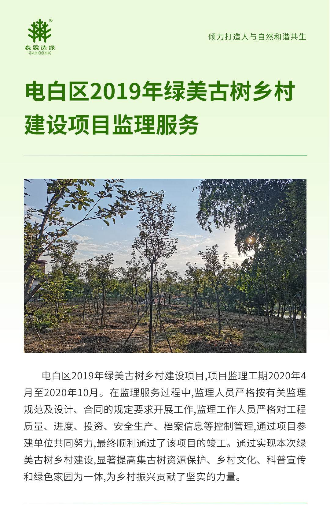 55世纪-不凡成就非凡,相信品牌力量